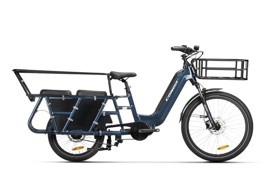 Conor BERNA 20"
