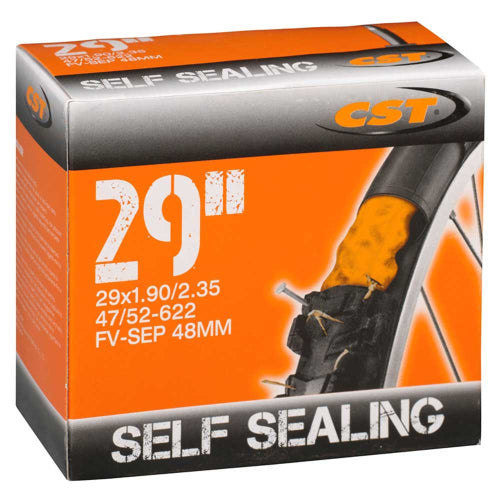 Camera CST 29x190/235 valvola presta 48mm antiforatura