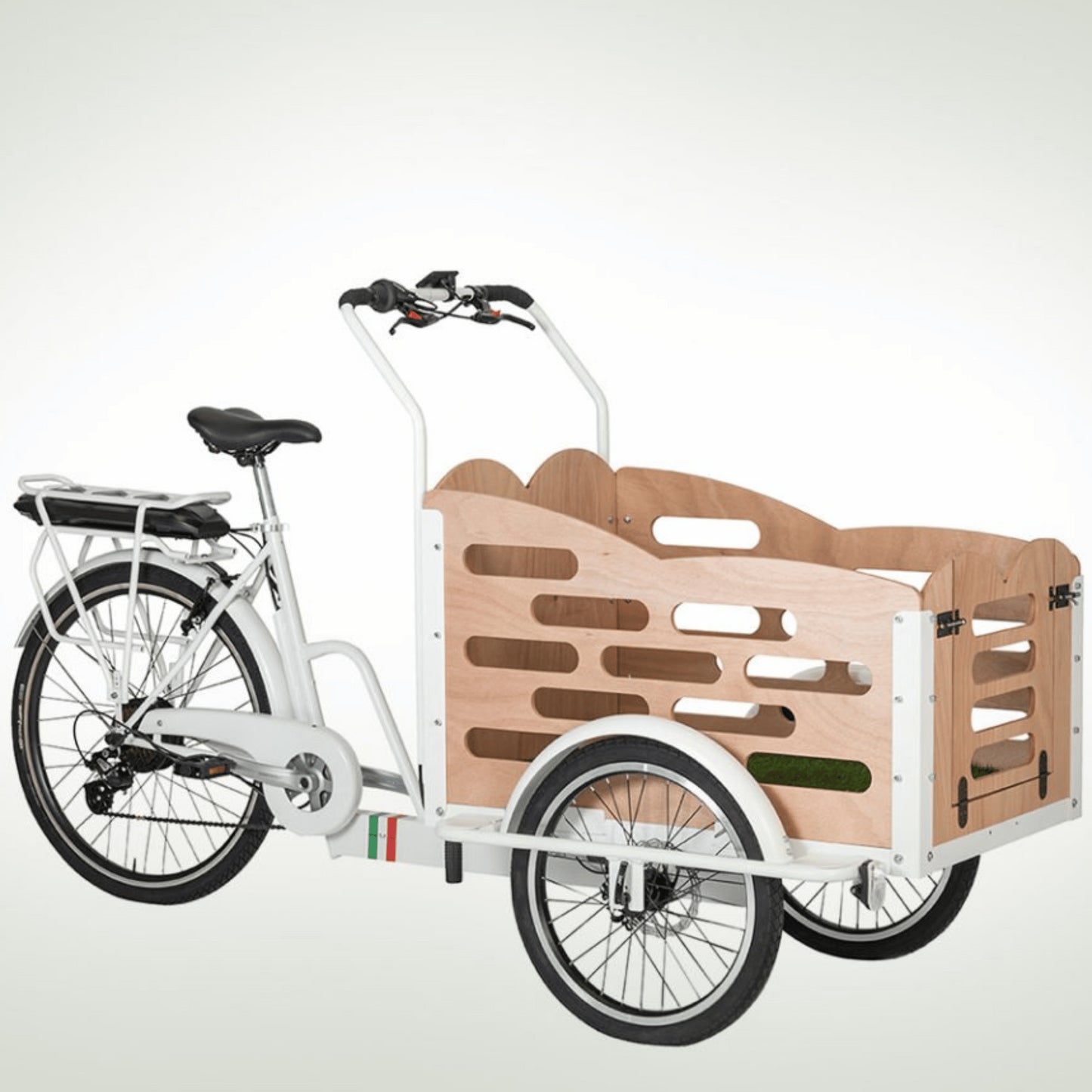 Cargo Bike Modello Cuore Dog Elettrica