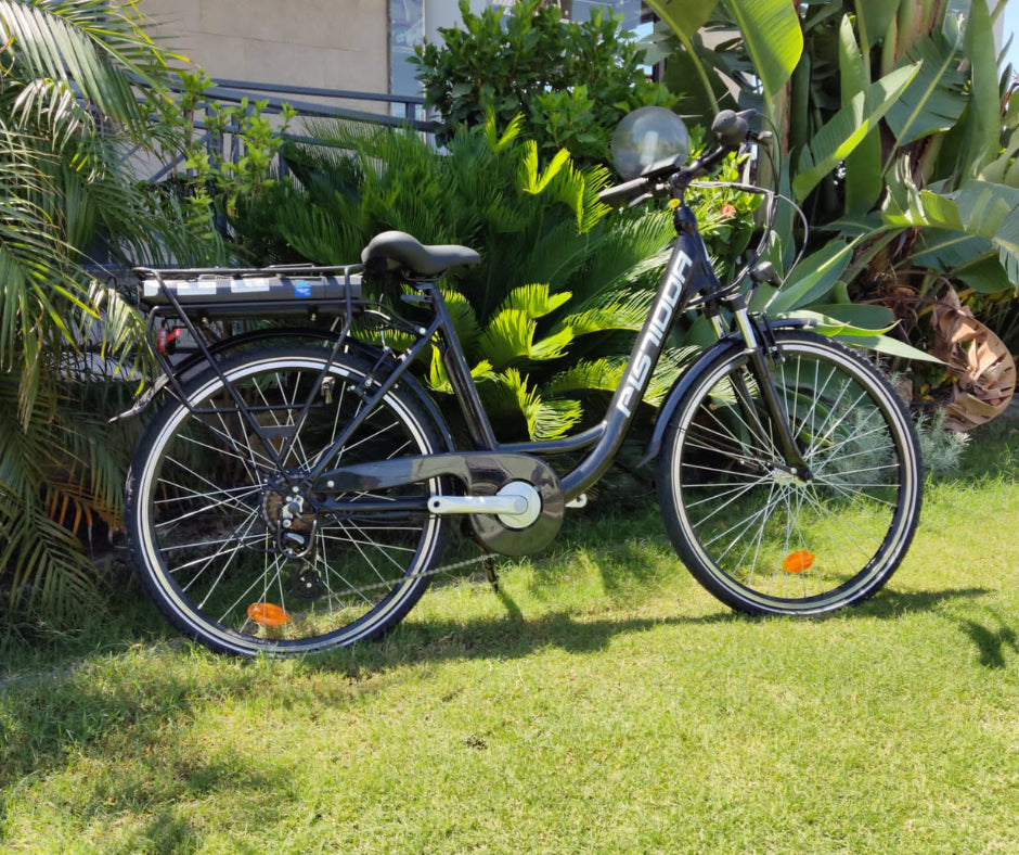 E-City Bike Pistidda 26" con forcella ammortizzata