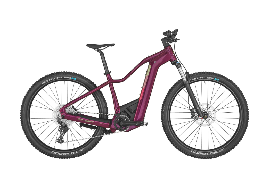 E-MTB Bergamont E-Revox Pro FMN 29" 1x11