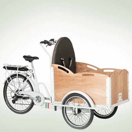 Cargo Bike Modello Classic Aid Muscolare
