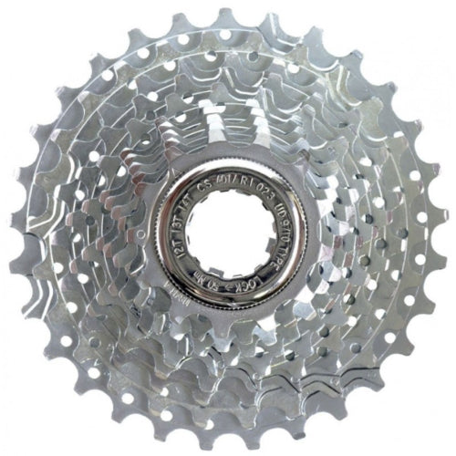 Cassetta Pignoni Campagnolo Veloce 13/29 D 10 V