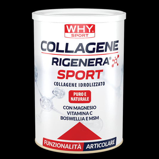 Collagene Rigenera Sport 336g
