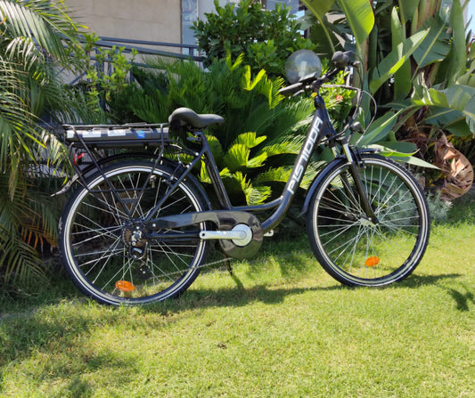 E-City Bike Pistidda 26" con forcella ammortizzata