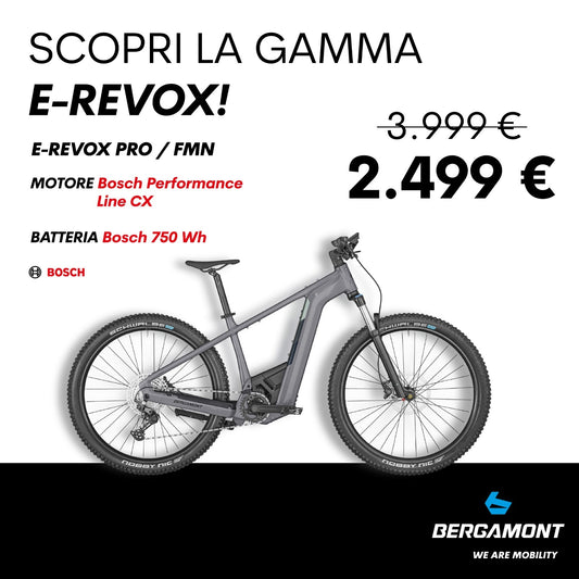 E-MTB Bergamont E-Revox Pro FMN 29" 1x11