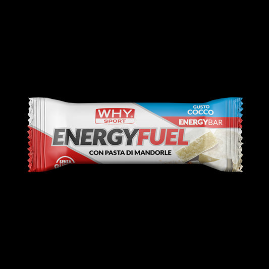 Energy Fuel Barrette al cocco 30gr