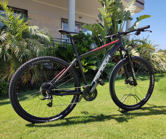 Mountain Bike Pistidda 8x3 tg 40